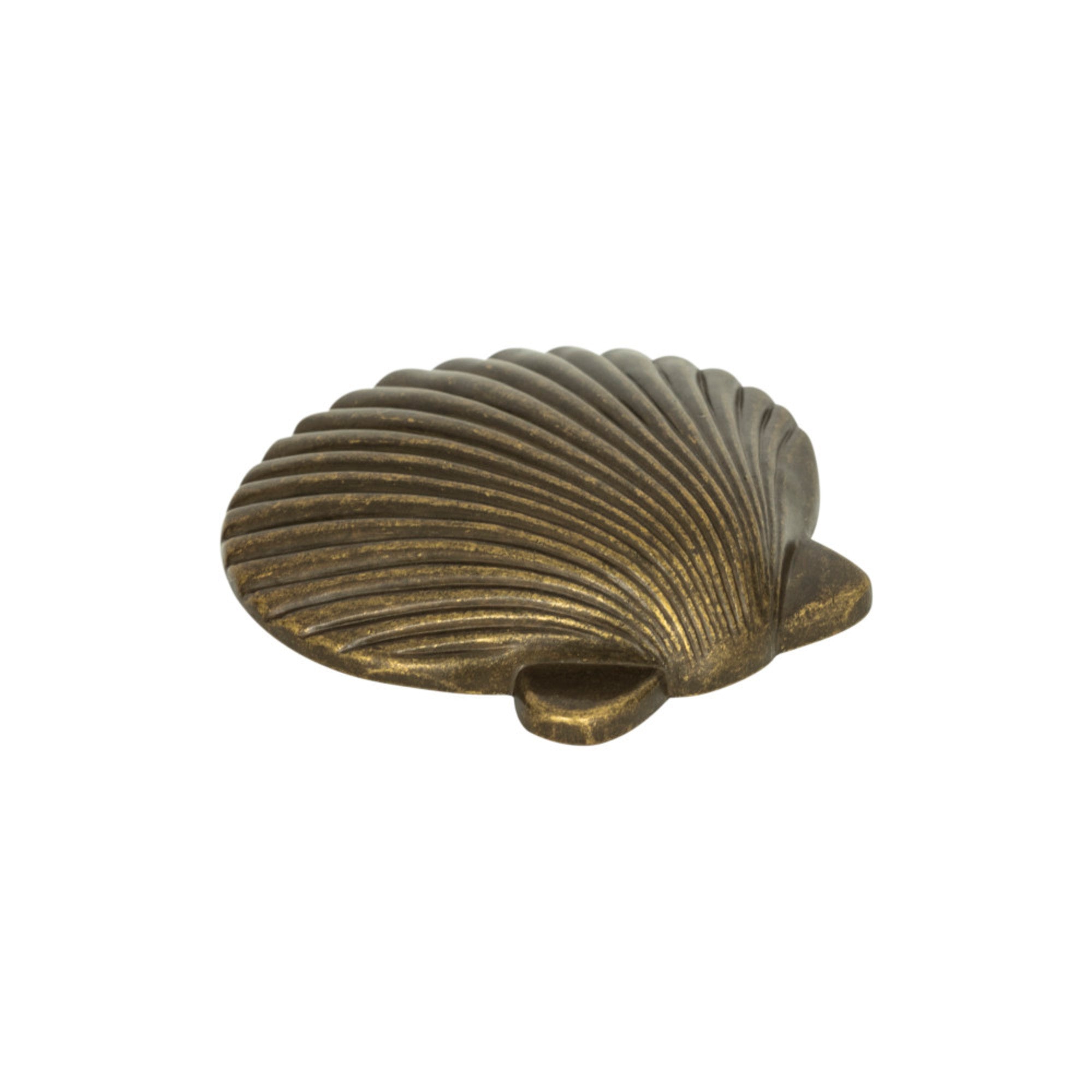 Clamshell 2" Length Novelty Knob - Burnished Bronze