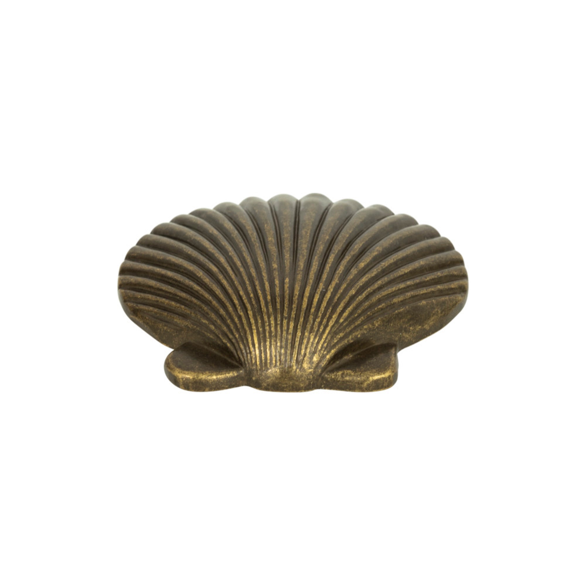 Clamshell 2" Length Novelty Knob - Burnished Bronze