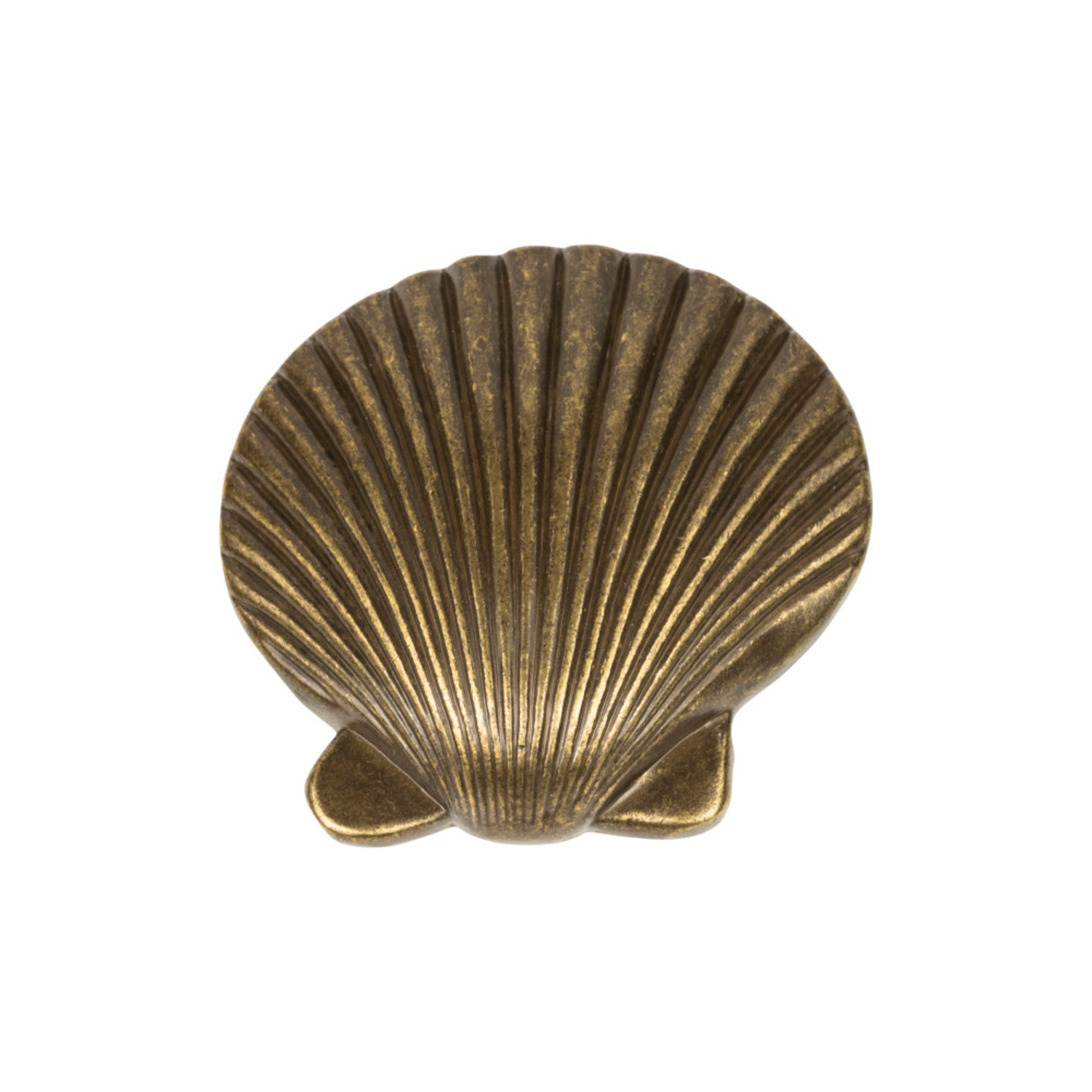 Clamshell 2" Length Novelty Knob - Burnished Bronze